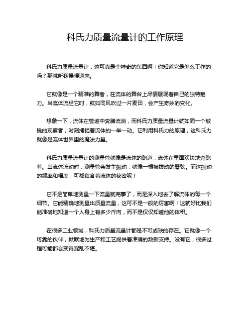 科氏力质量流量计的工作原理