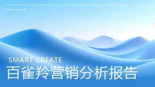 百雀羚营销分析报告