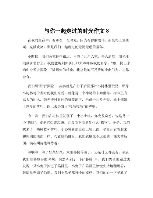 与你一起走过的时光作文8