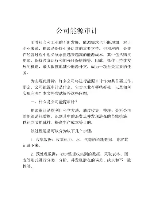 公司能源审计