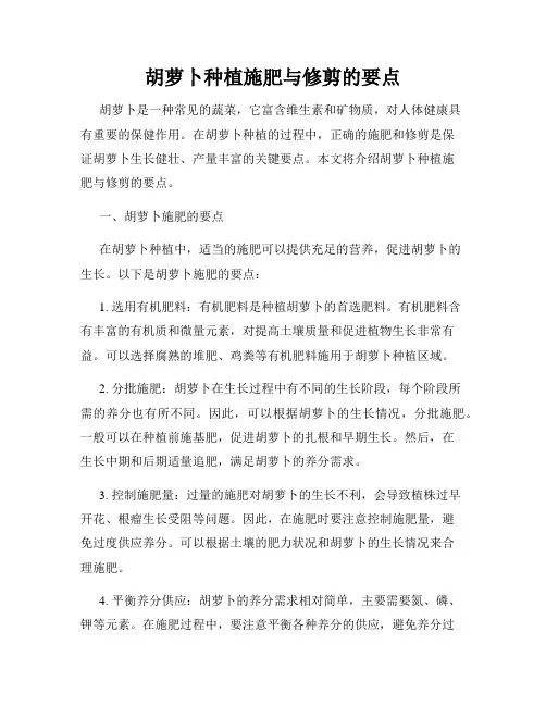 胡萝卜种植施肥与修剪的要点