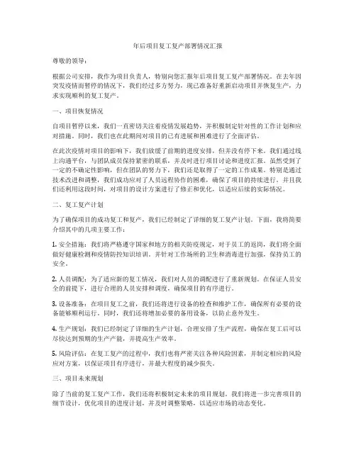 年后项目复工复产部署情况汇报
