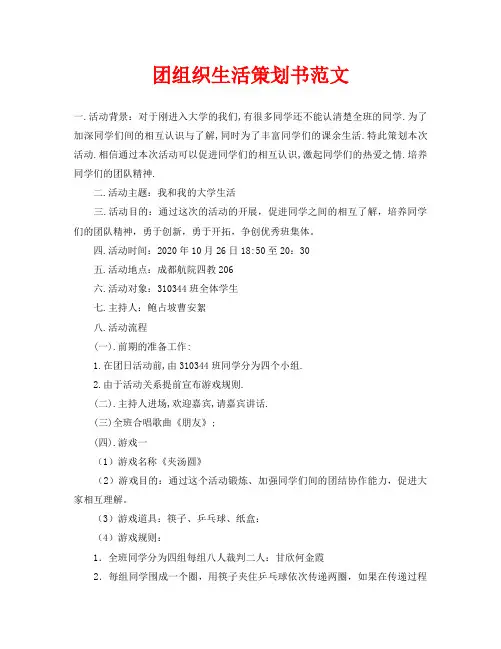 团组织生活策划书范文