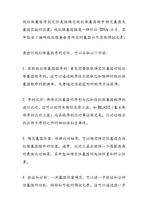线粒体基因序列定位
