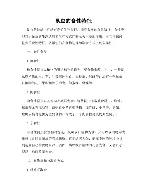 昆虫的食性特征