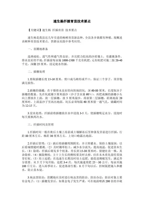速生杨扦插育苗技术要点