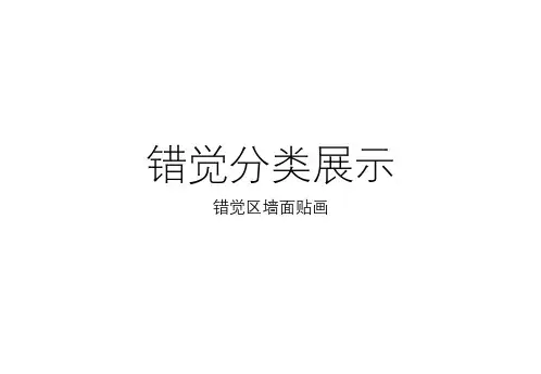 错觉分类