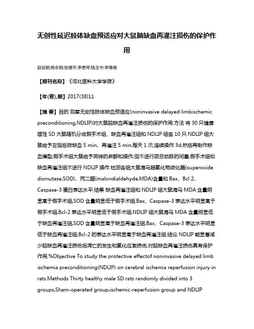 无创性延迟肢体缺血预适应对大鼠脑缺血再灌注损伤的保护作用
