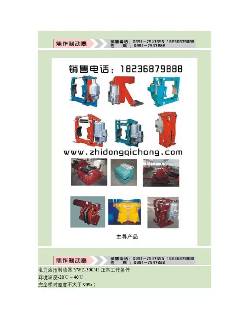 YWZ300-45电力液压制动器-型号,参数,询价,厂家安装调试(精)