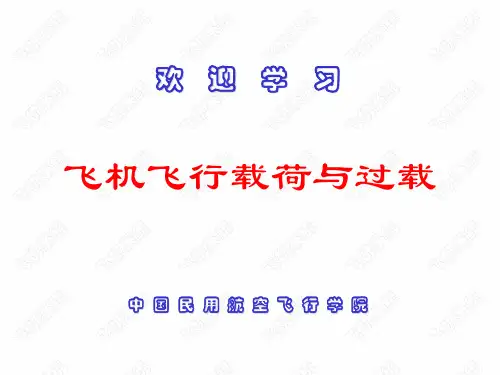 飞机飞行载荷与过载.ppt
