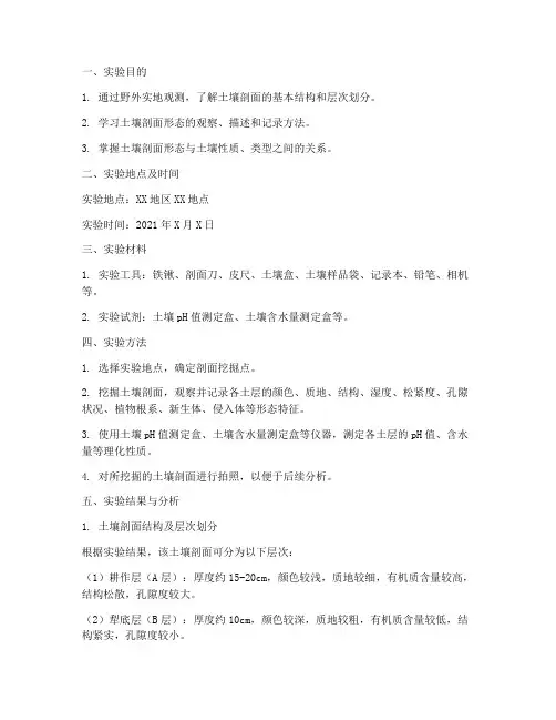 土壤剖面形态实验报告