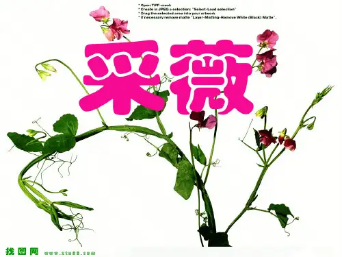 诗经.采薇(1)