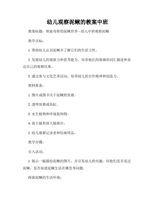 幼儿观察泥鳅的教案中班