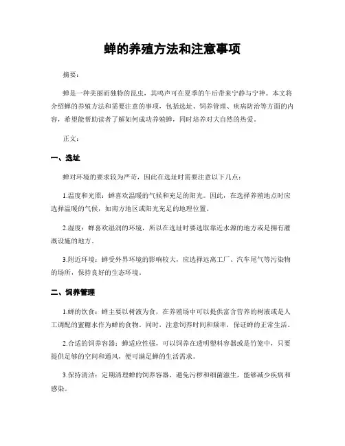 蝉的养殖方法和注意事项