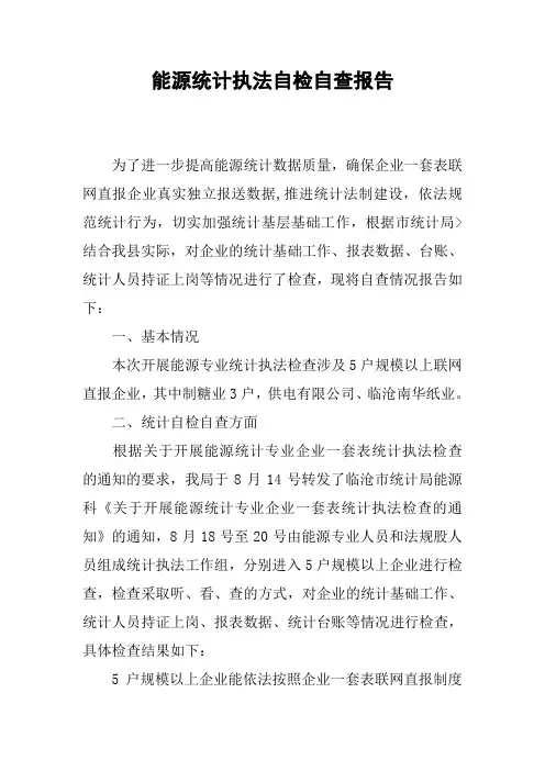 能源统计执法自检自查报告