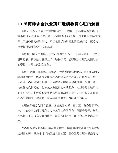 中 国药师协会执业药师继续教育心脏的解剖