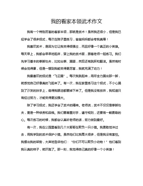 我的看家本领武术作文
