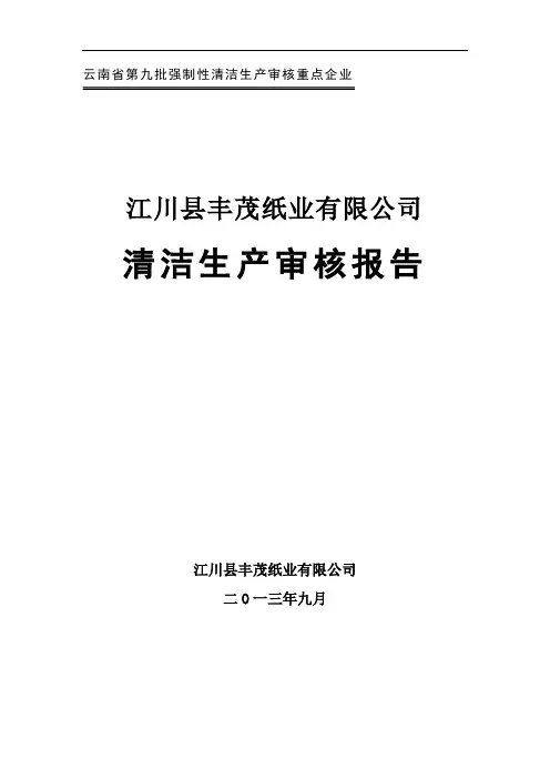 丰茂纸业清洁生产报告(打印稿)