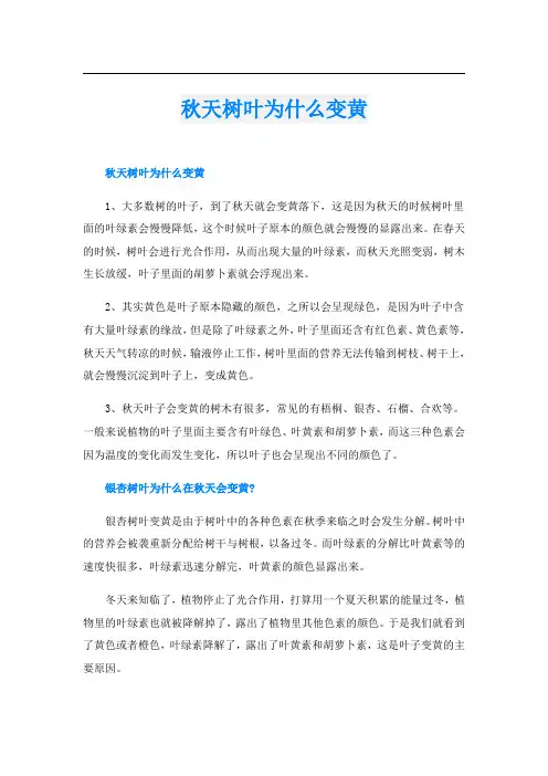 秋天树叶为什么变黄