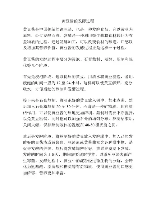 黄豆酱的发酵过程