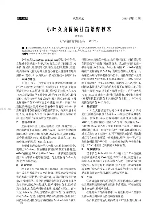 小叶女贞优质壮苗繁育技术