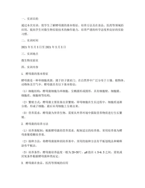 实训报告微生物酵母菌