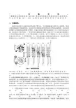 Rubisco的层析分离和电泳离心