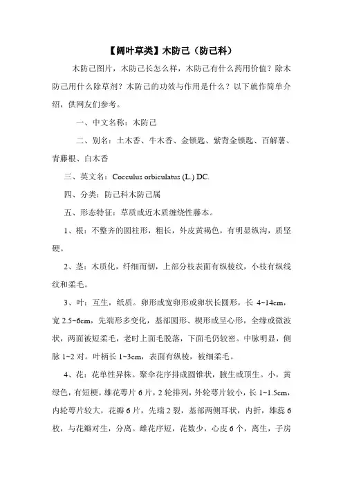 【阔叶草类】木防己(防己科)