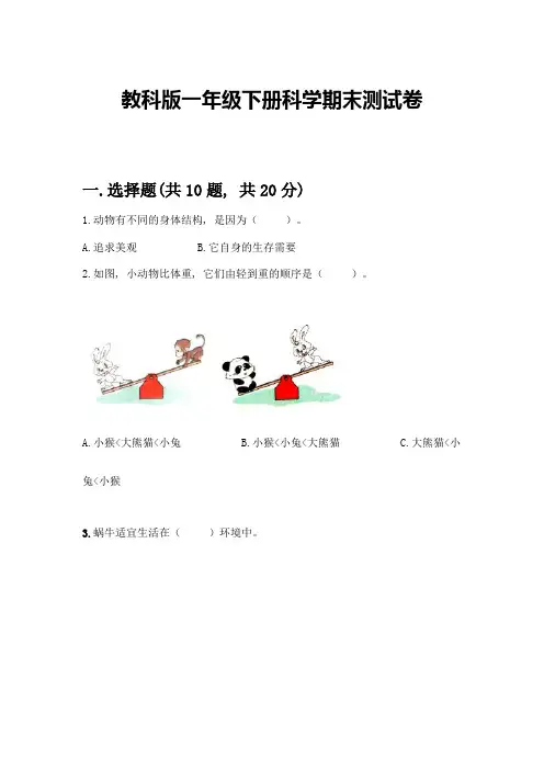 教科版一年级下册科学期末测试卷及参考答案(实用)