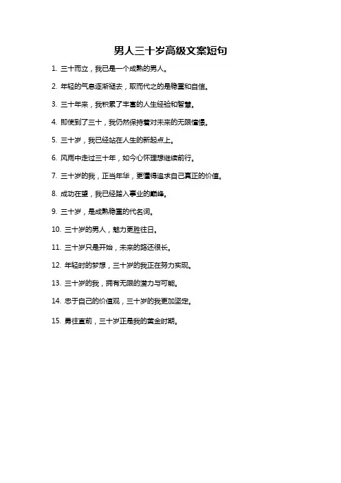 男人三十岁高级文案短句
