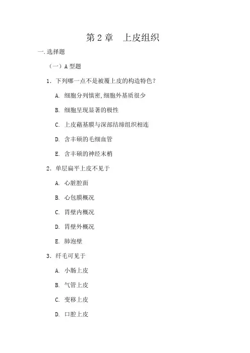 第2章  上皮组织