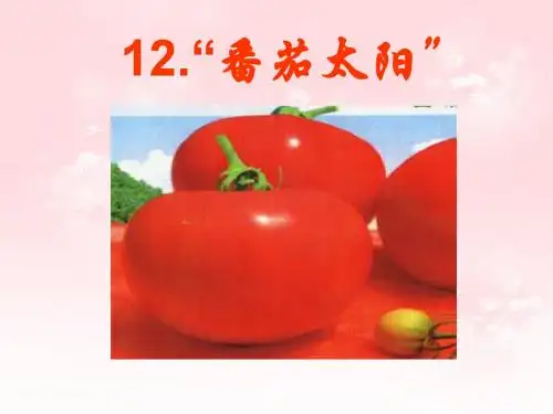 四语下12课番茄太阳ppt