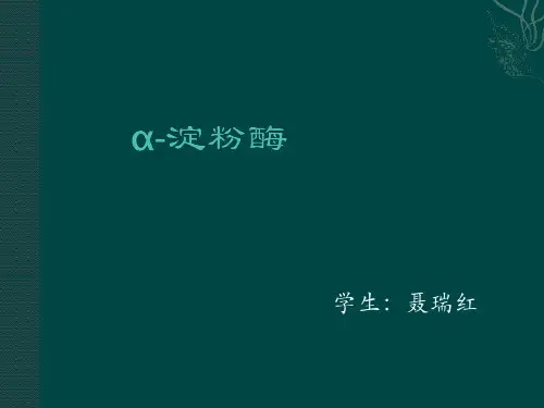 α-淀粉酶
