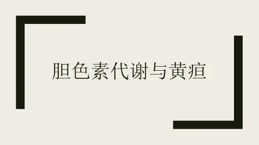 胆色素代谢与黄疸