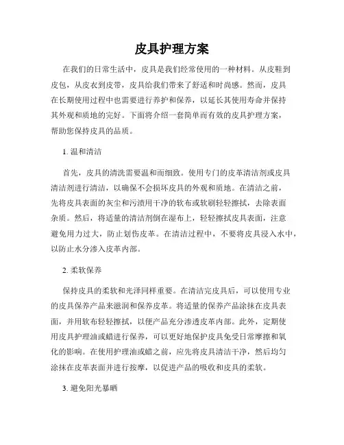 皮具护理方案