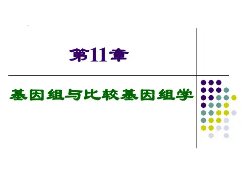 第11章-基因组学与比较基因组学
