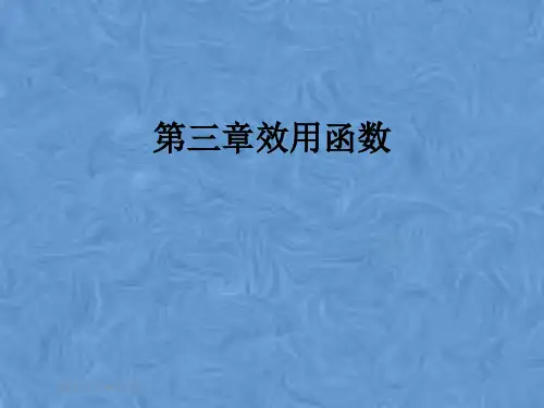 第三章效用函数