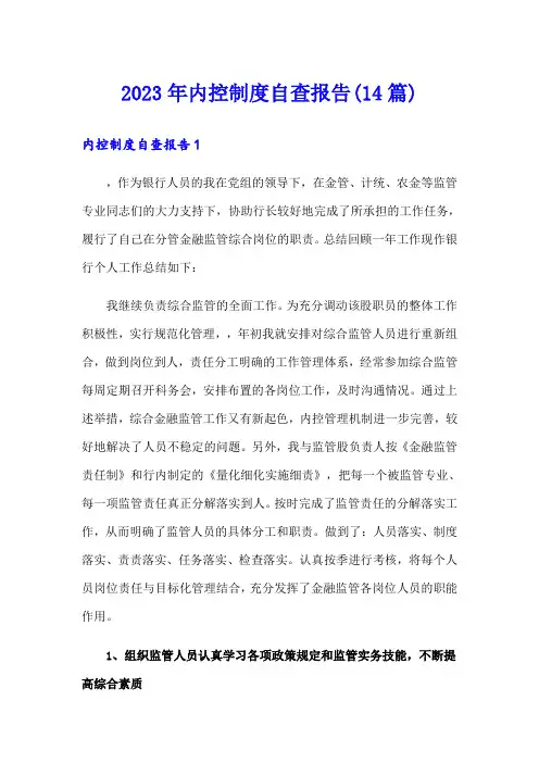 2023年内控制度自查报告(14篇)