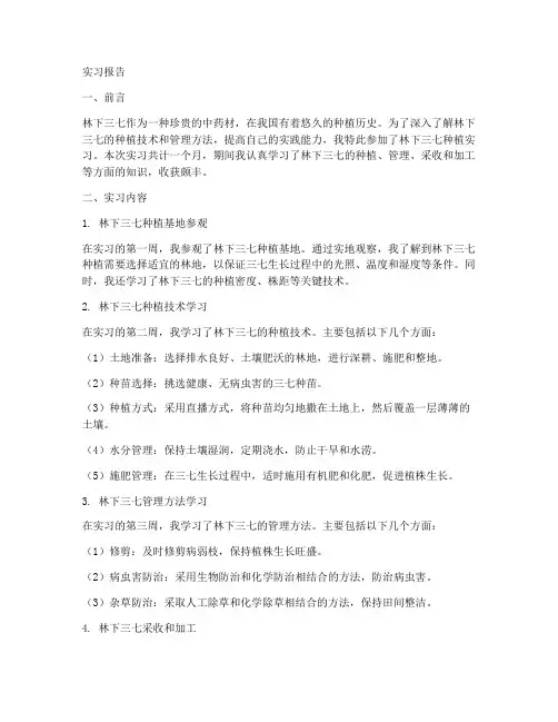 林下三七实习报告