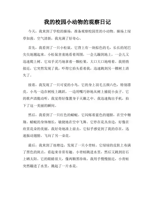 小学三年级作文我的校园小动物的观察日记