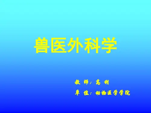 兽医外科学课件
