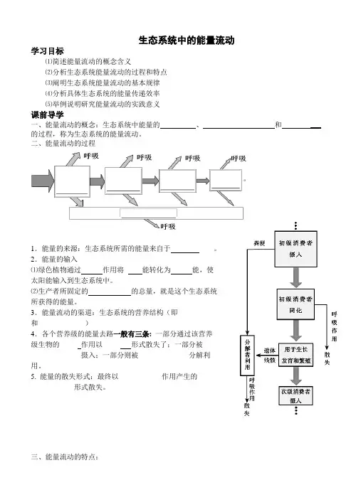 生态系统中的能量流动