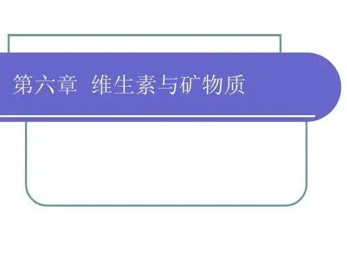6维生素与矿物质