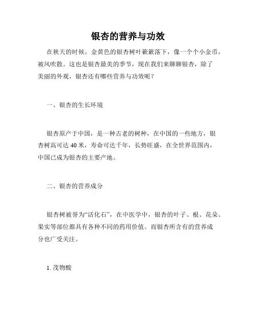 银杏的营养与功效