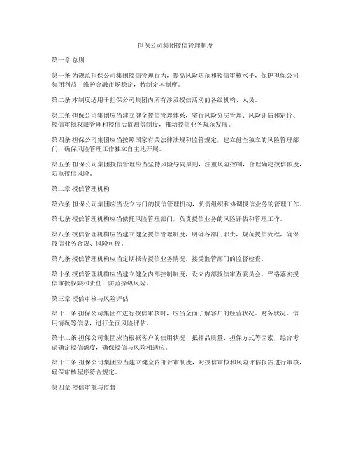 担保公司集团授信管理制度