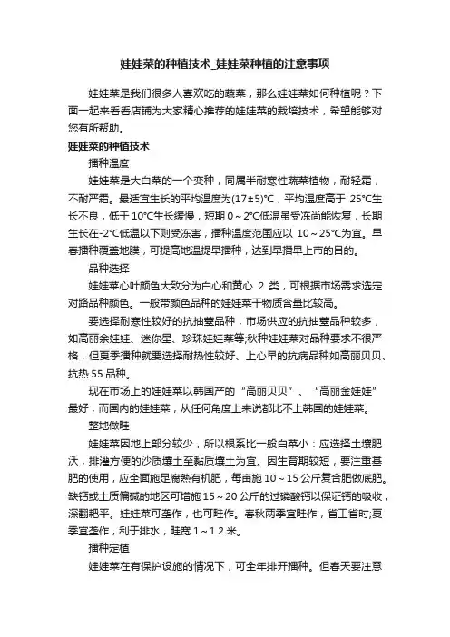 娃娃菜的种植技术_娃娃菜种植的注意事项