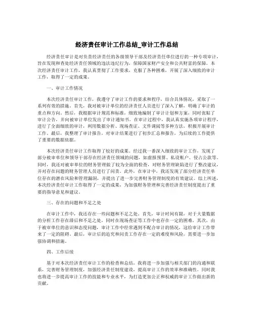 经济责任审计工作总结_审计工作总结