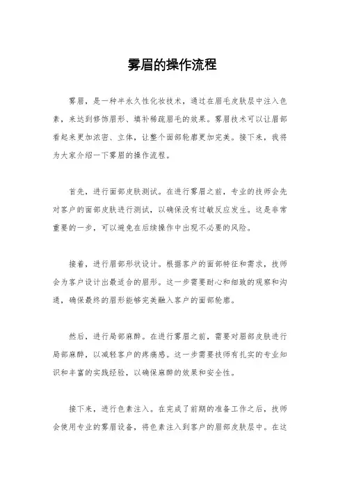 雾眉的操作流程
