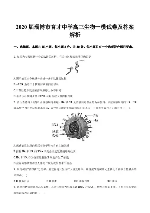 2020届淄博市育才中学高三生物一模试卷及答案解析