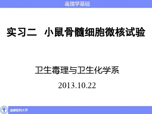 小鼠骨髓微核试验